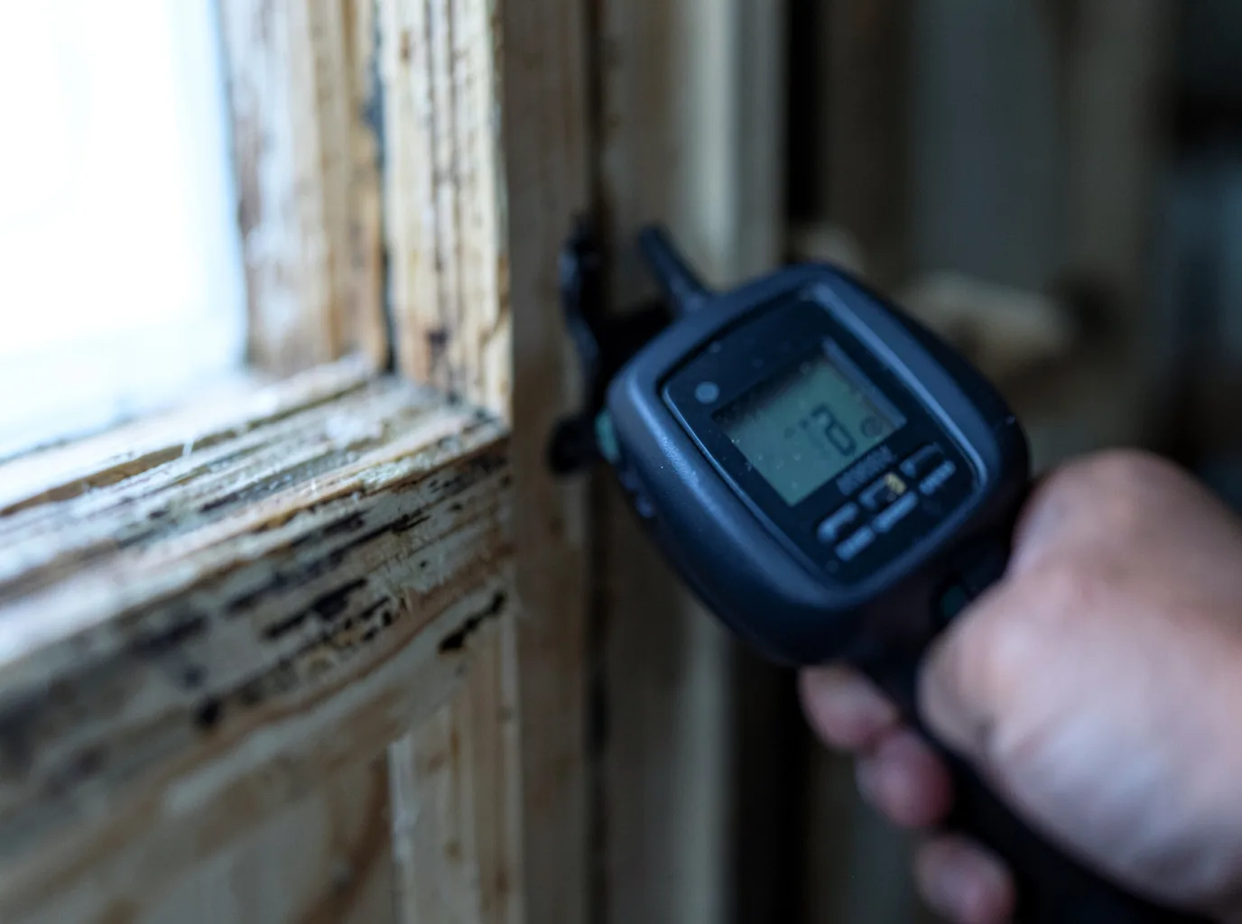 Moisture Inspection And Documentation in Rollinsford, NH